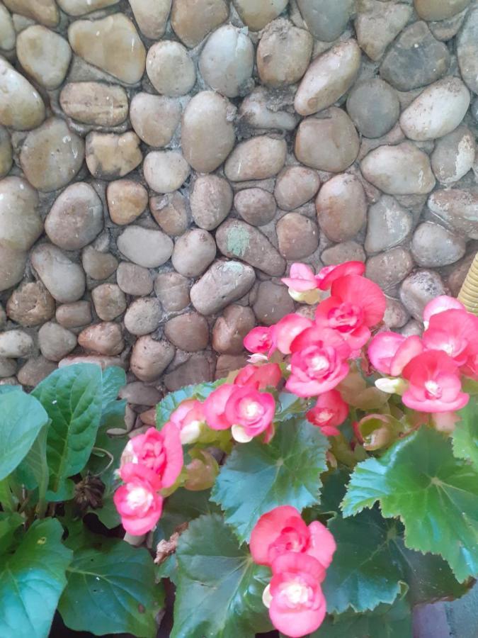 Pousada Recanto Das Flores Moitas Exteriör bild